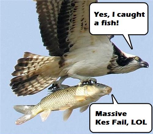 Kes.jpg
